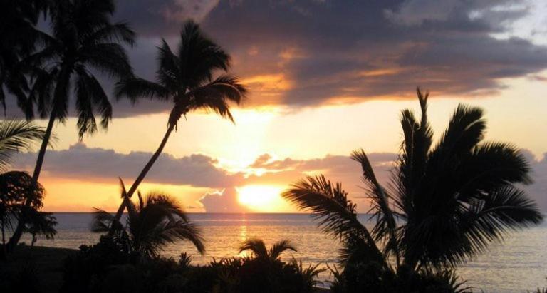Aroha Taveuni Beachfront Bures Waiyevo Ngoại thất bức ảnh